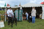 DAY 1, GABRIELE, LE2A3534 51
