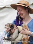 FERRETS, ANNEKE, DSCN1379 4